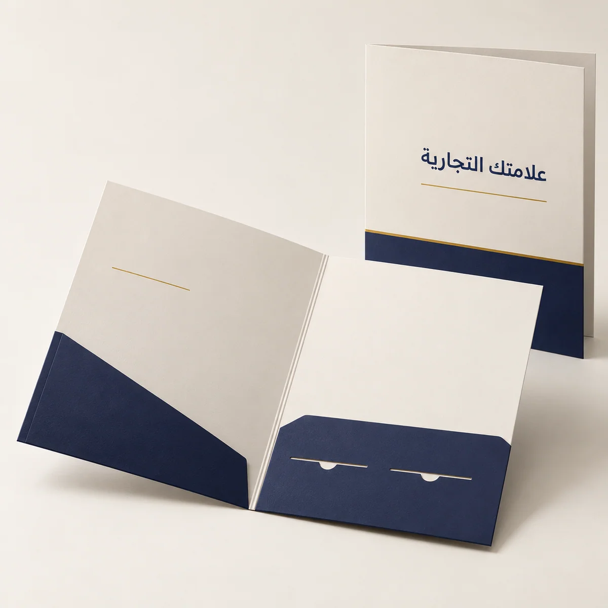Printed presentation folders